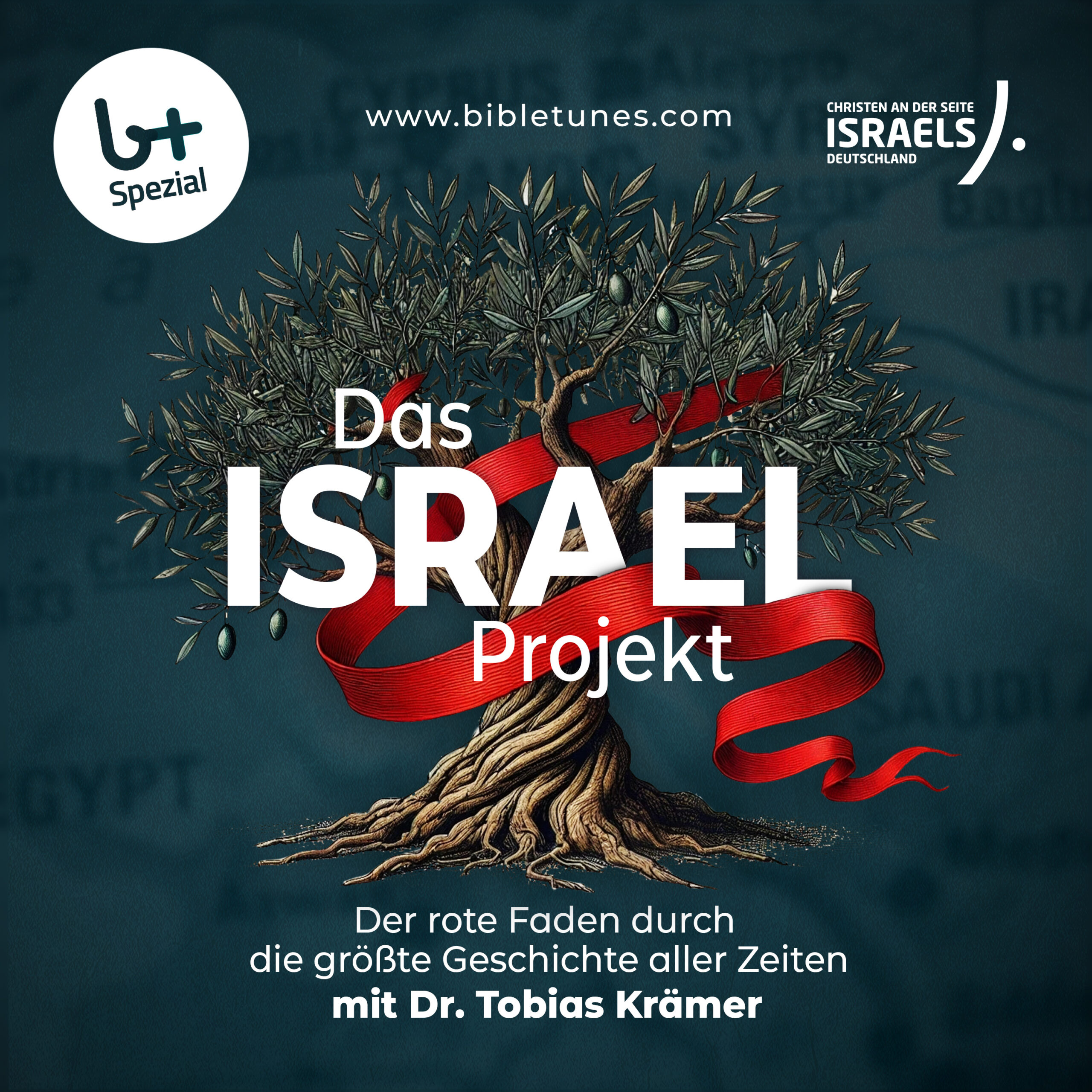 Das Israel Projekt Cover